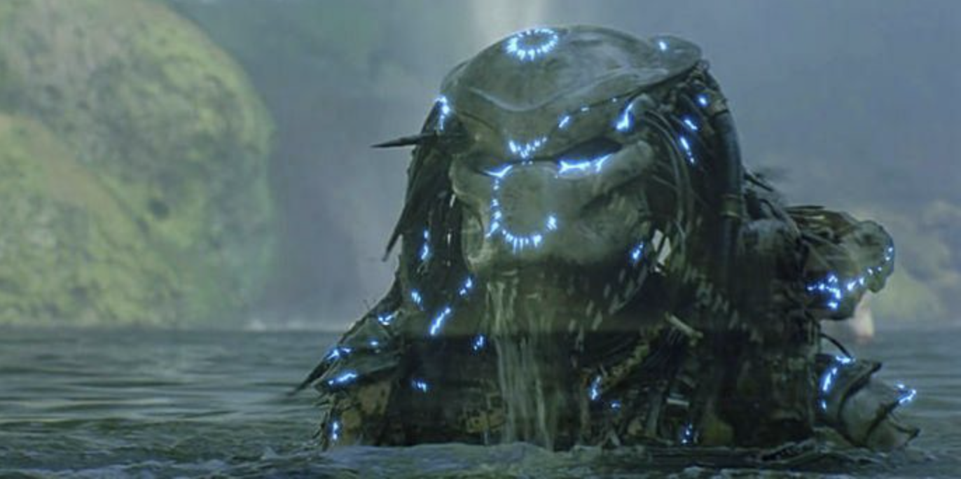 Predator