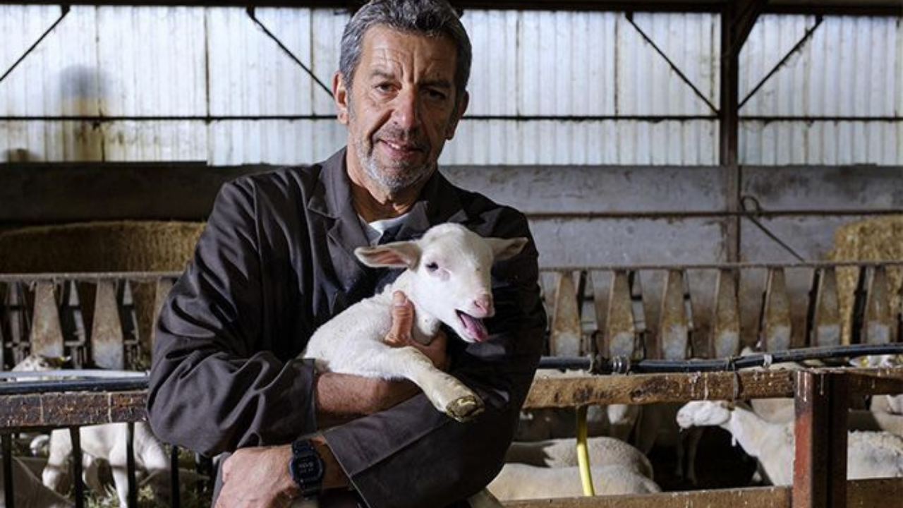 La doc et le véto