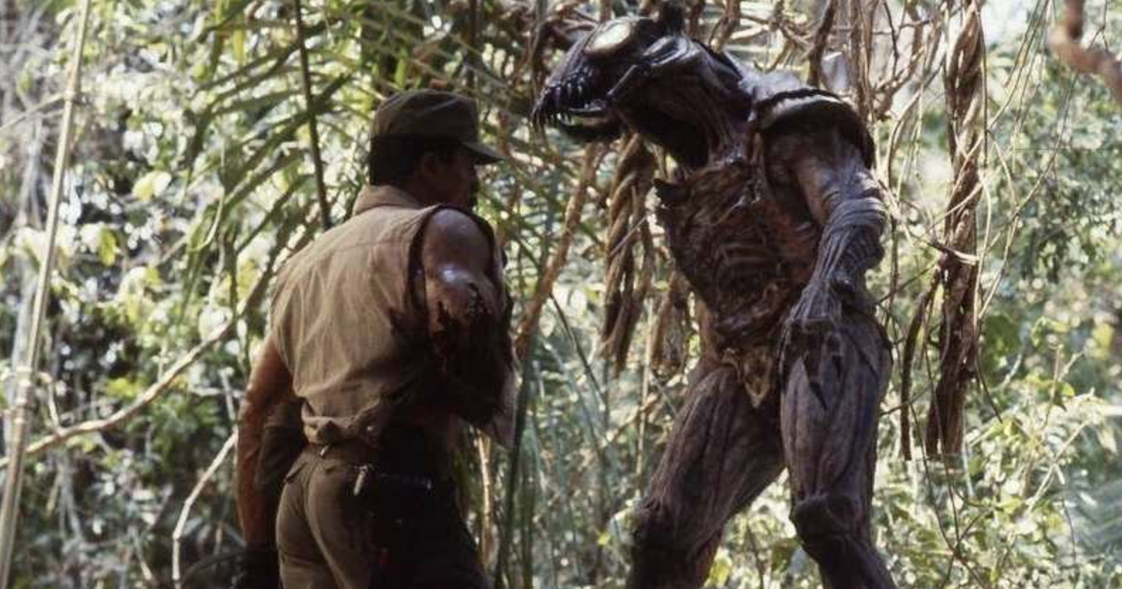Predator