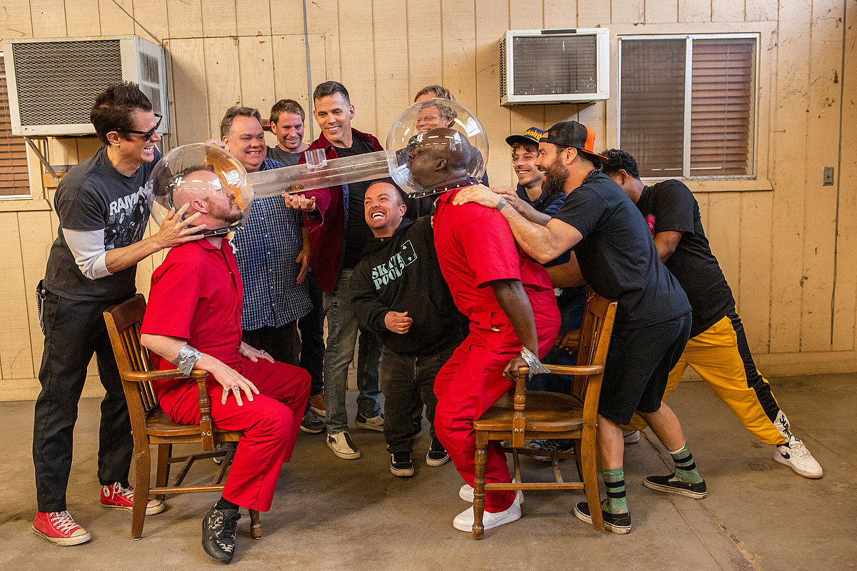 Jackass 