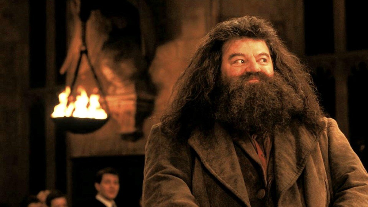 Harry Potter à l'école des sorciers Harry Potter à l'école des sorciers