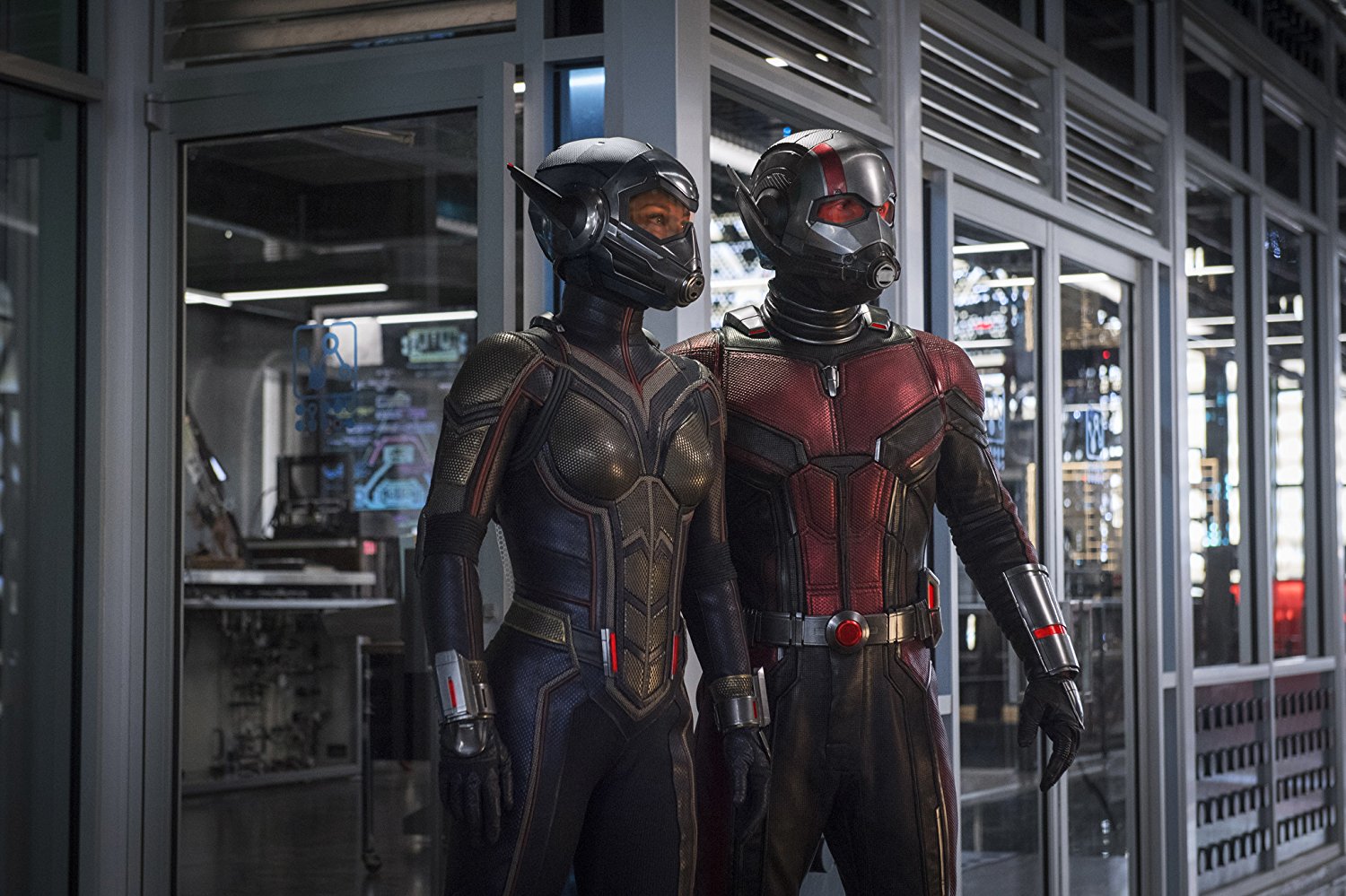 Ant-Man et la Guêpe Ant-Man et la Guêpe