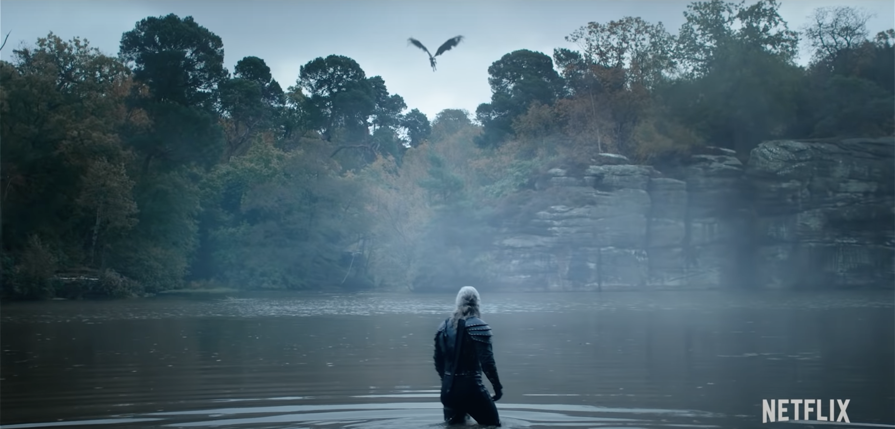 The Witcher The Witcher