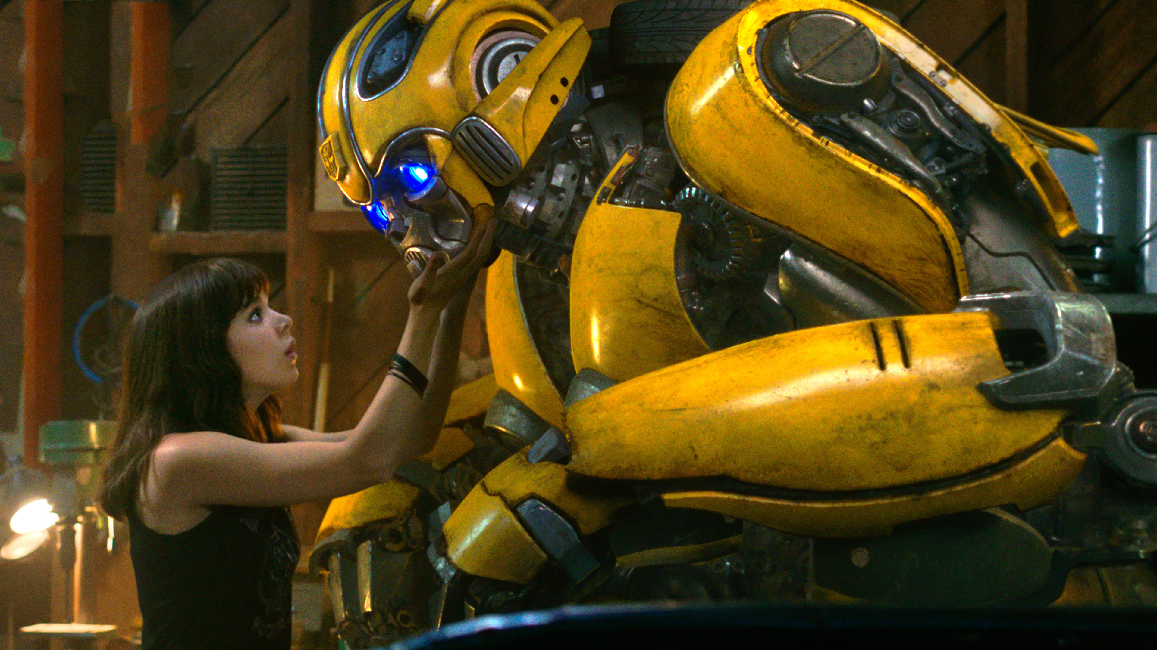 Bumblebee Bumblebee