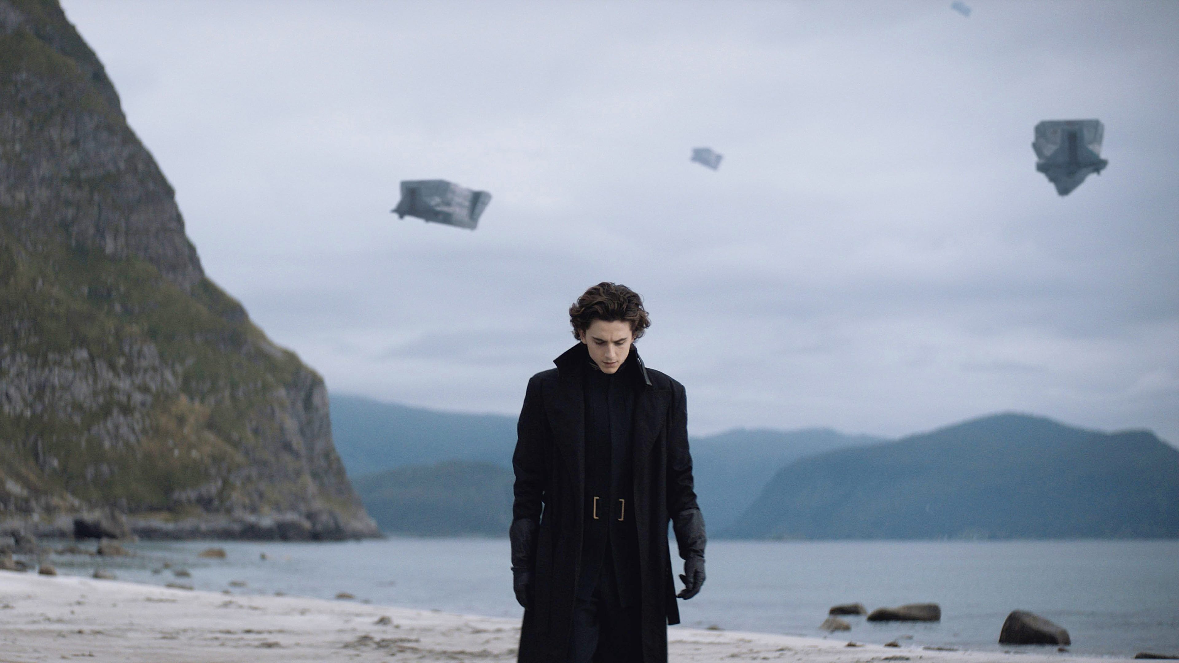 Timothée Chalamet (Paul Atreides) - Dune