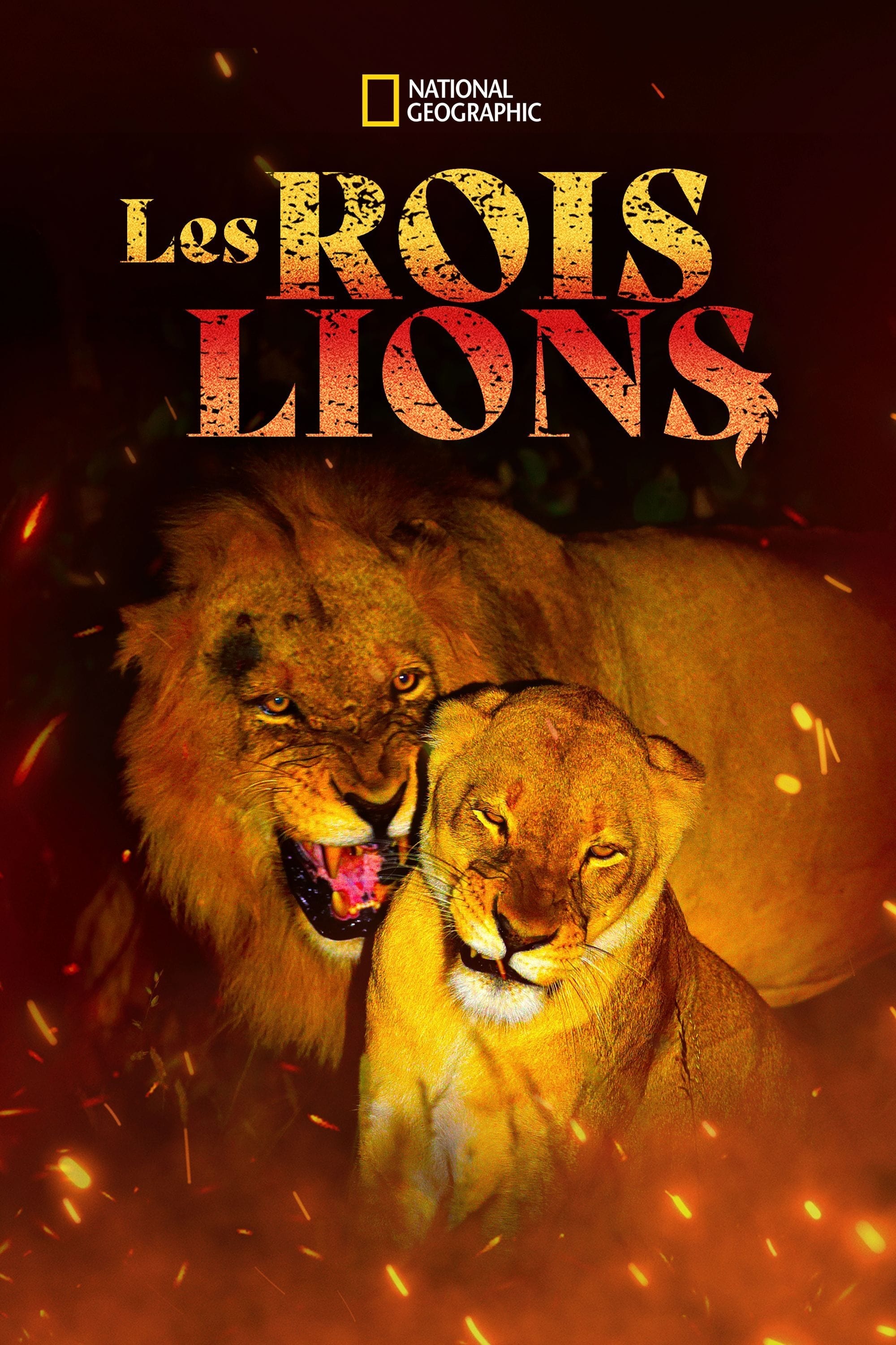 lion movie production company