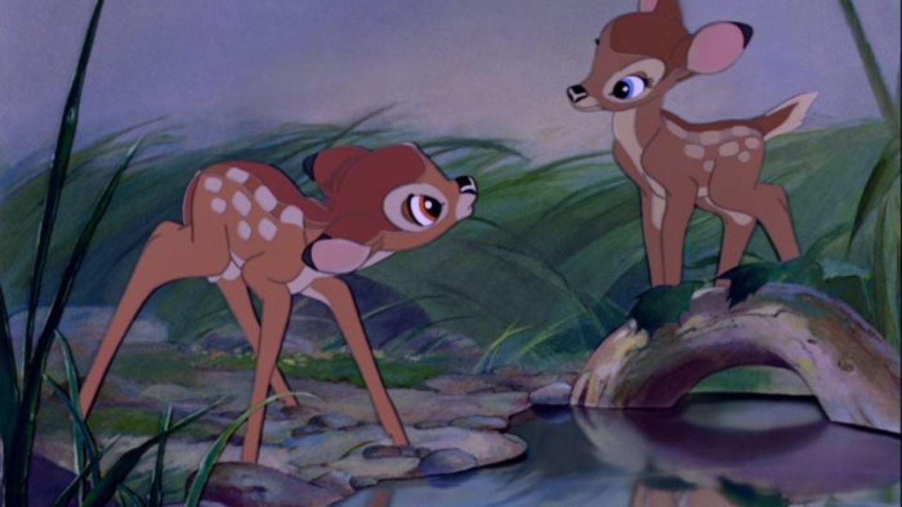 Bambi Bambi