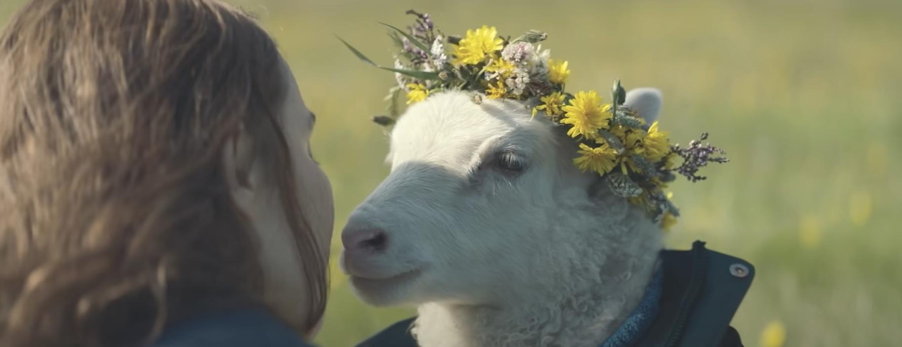 Lamb Lamb