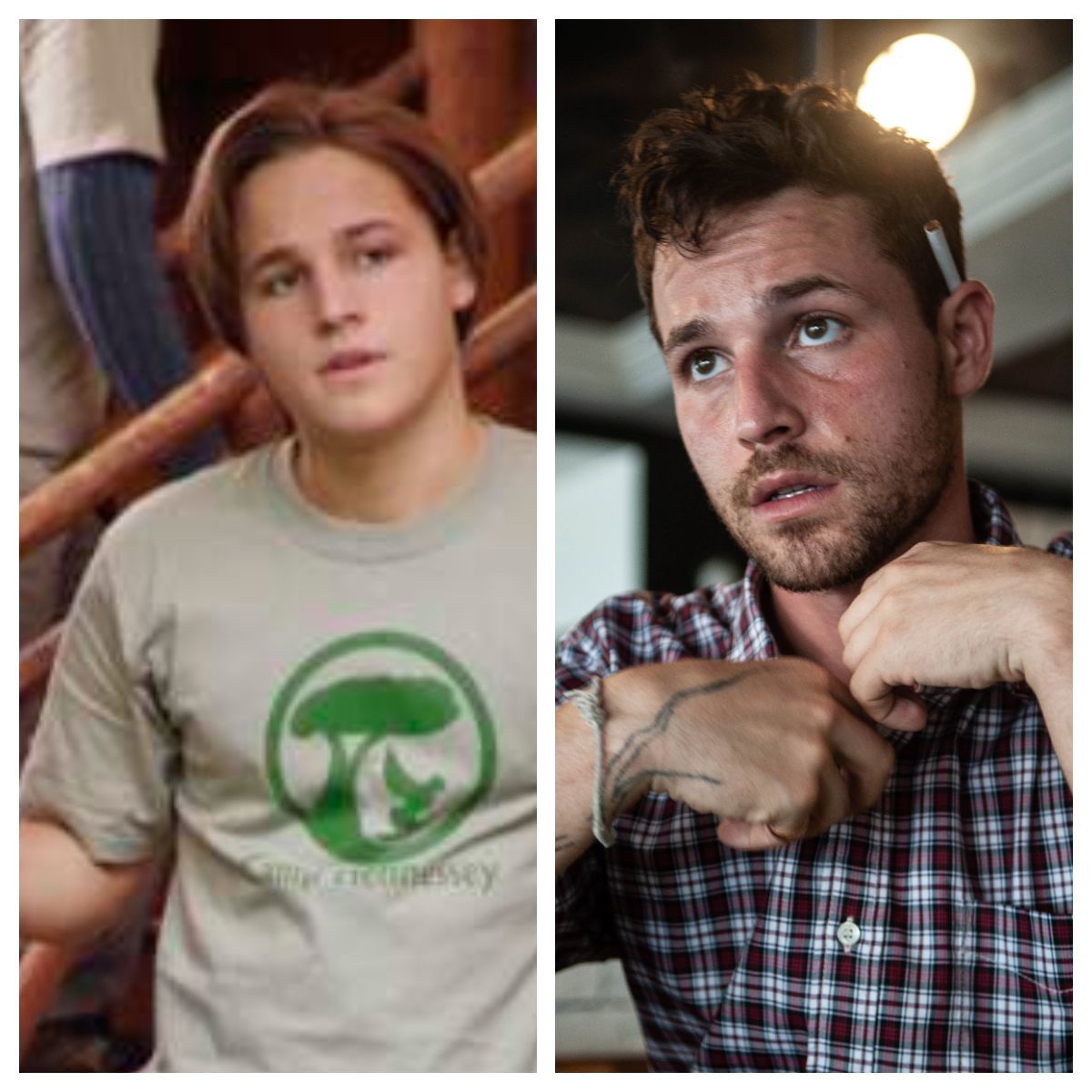 Andrew Van de Kamp (Shawn Pyfrom) dans Desperate Housewives