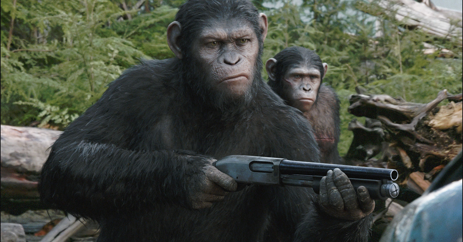 La Planète des singes - L'Affrontement