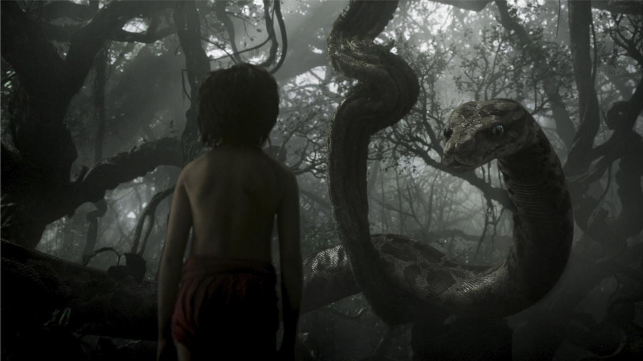 Le Livre de la Jungle