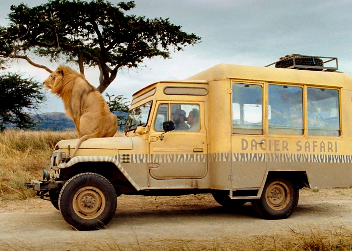 Safari