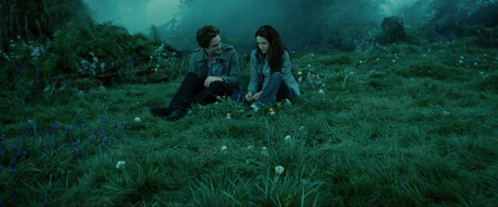 Twilight, chapitre 1 : Fascination Twilight, chapitre 1 : Fascination