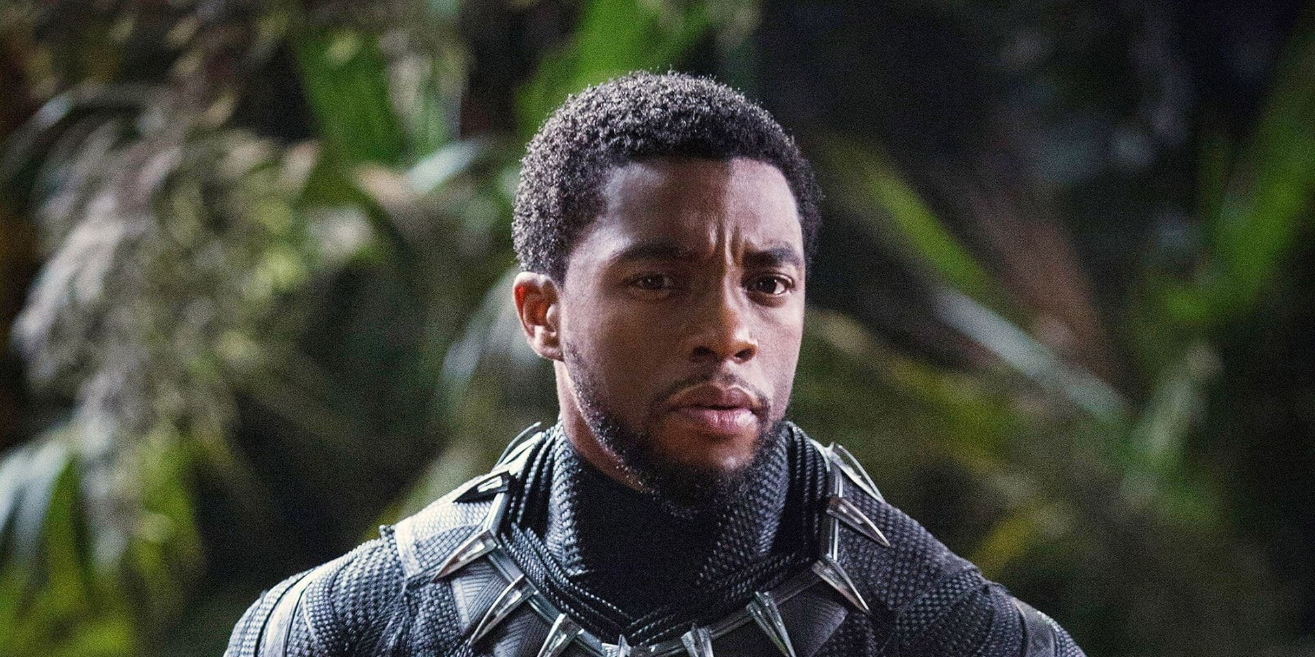 T'Challa (Chadwick Boseman) - Black Panther