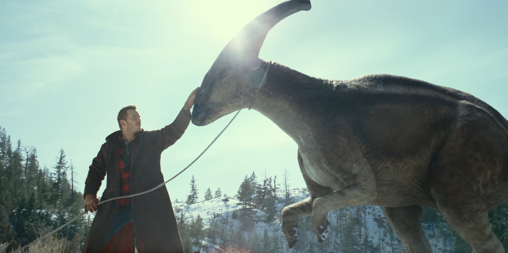 Owen Grady (Chris Pratt) - Jurassic World : Le Monde d'après Owen Grady (Chris Pratt) - Jurassic World : Le Monde d'après