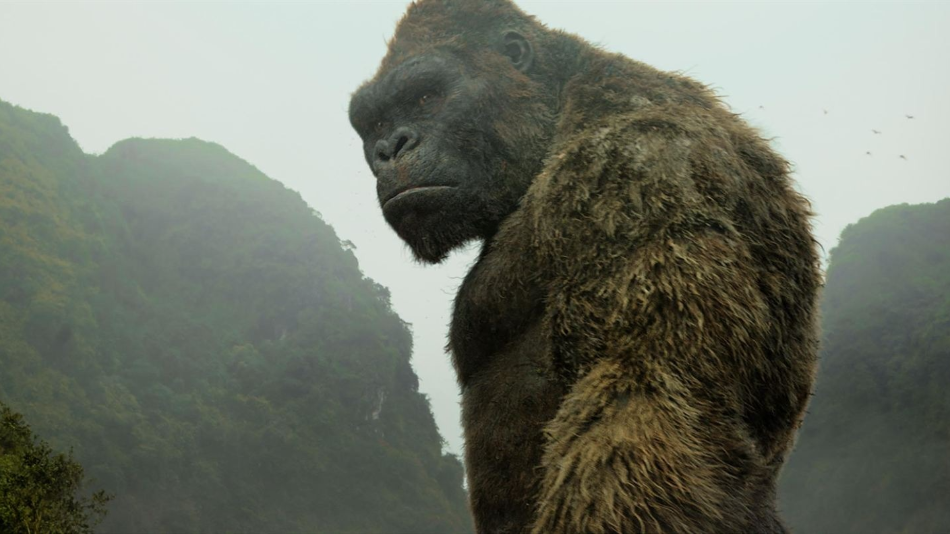 King Kong Netflix dévoile la toute première image de la série "Skull