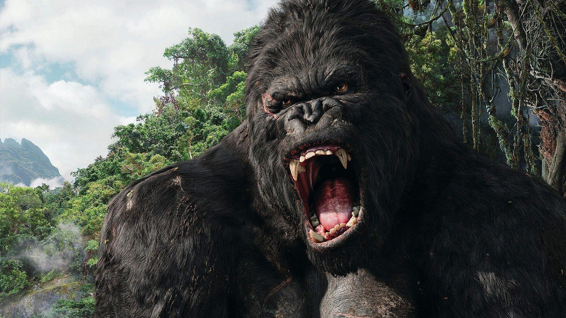 Disney+ prépare une série King Kong en live action