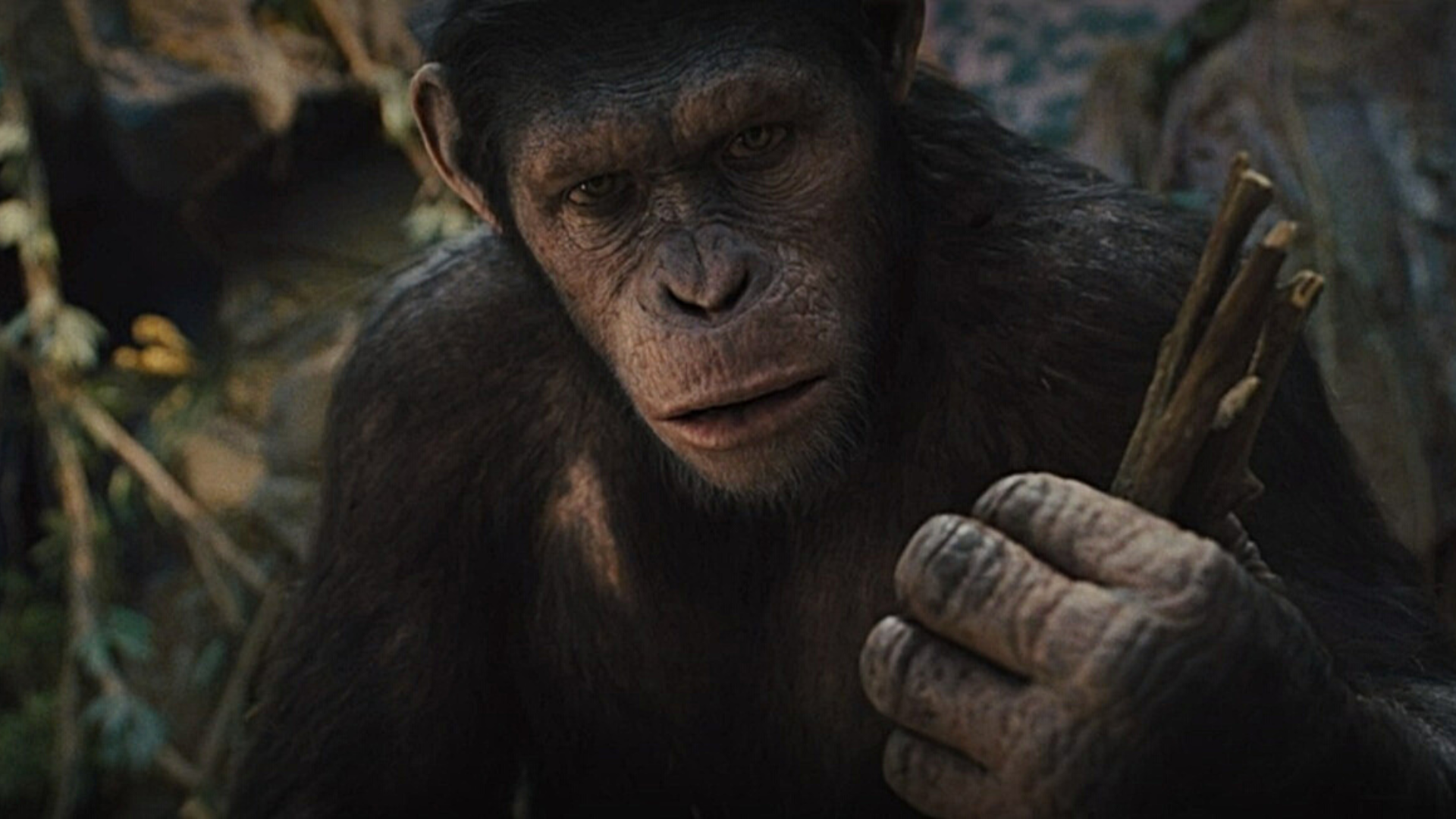 César (Andy Serkis) - La Planète des singes Les Origines
