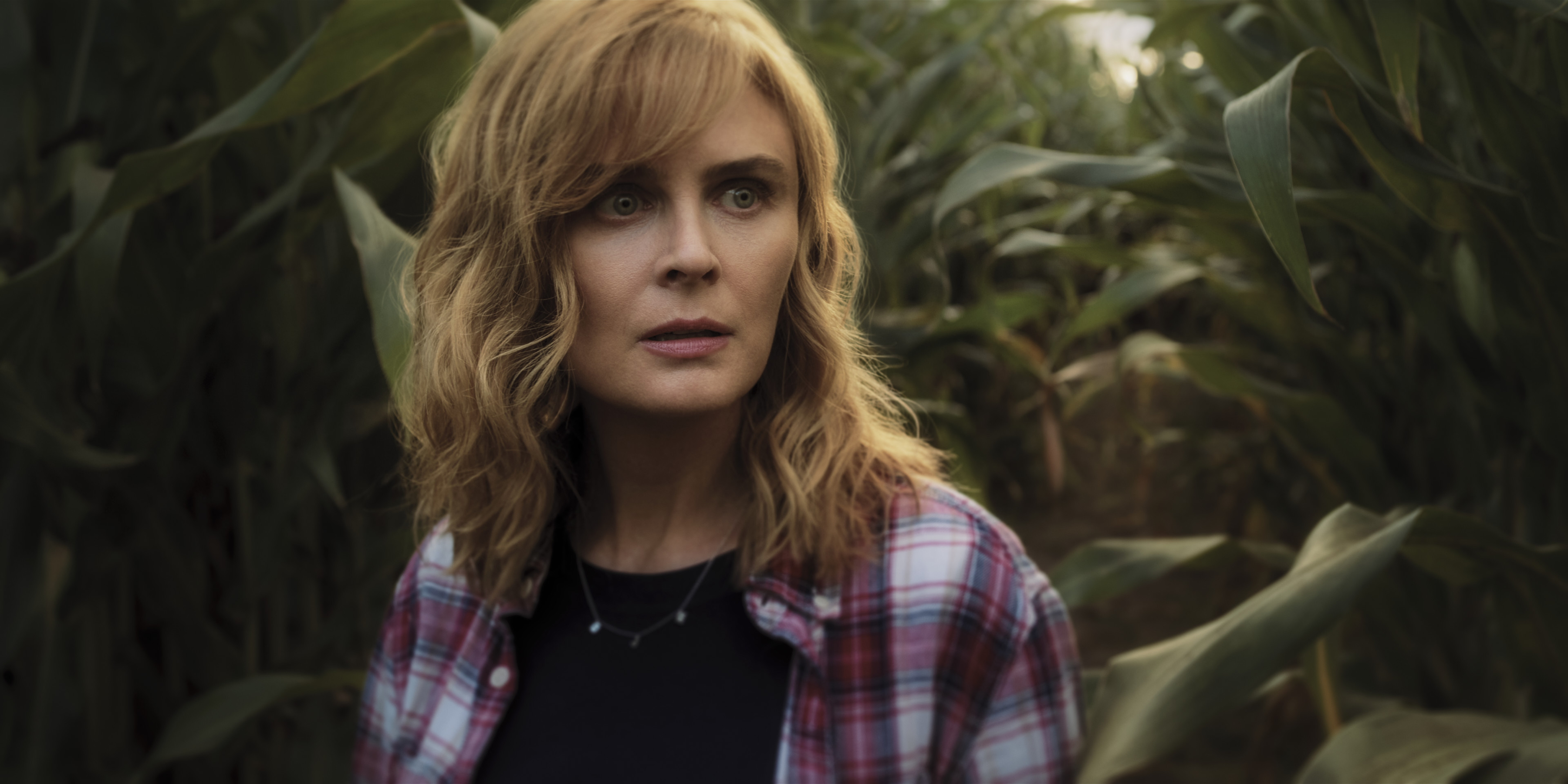 Emily Deschanel - Devil in Ohio 