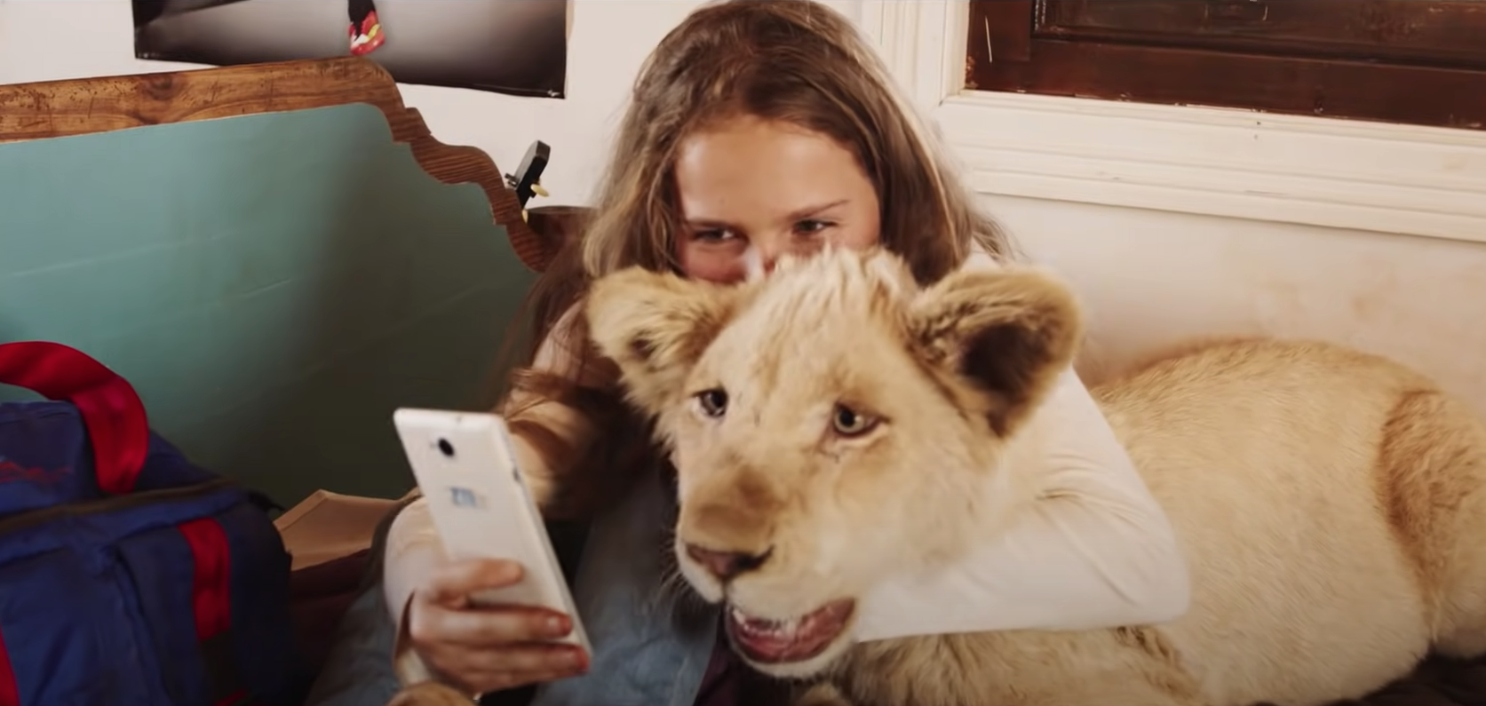 Mia et le Lion Blanc Mia et le Lion Blanc