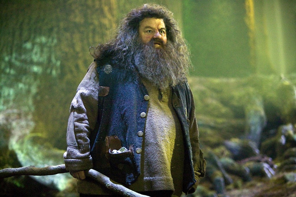Rubeus Hagrid (Robbie Coltrane) - Harry Potter et l'ordre du Phénix