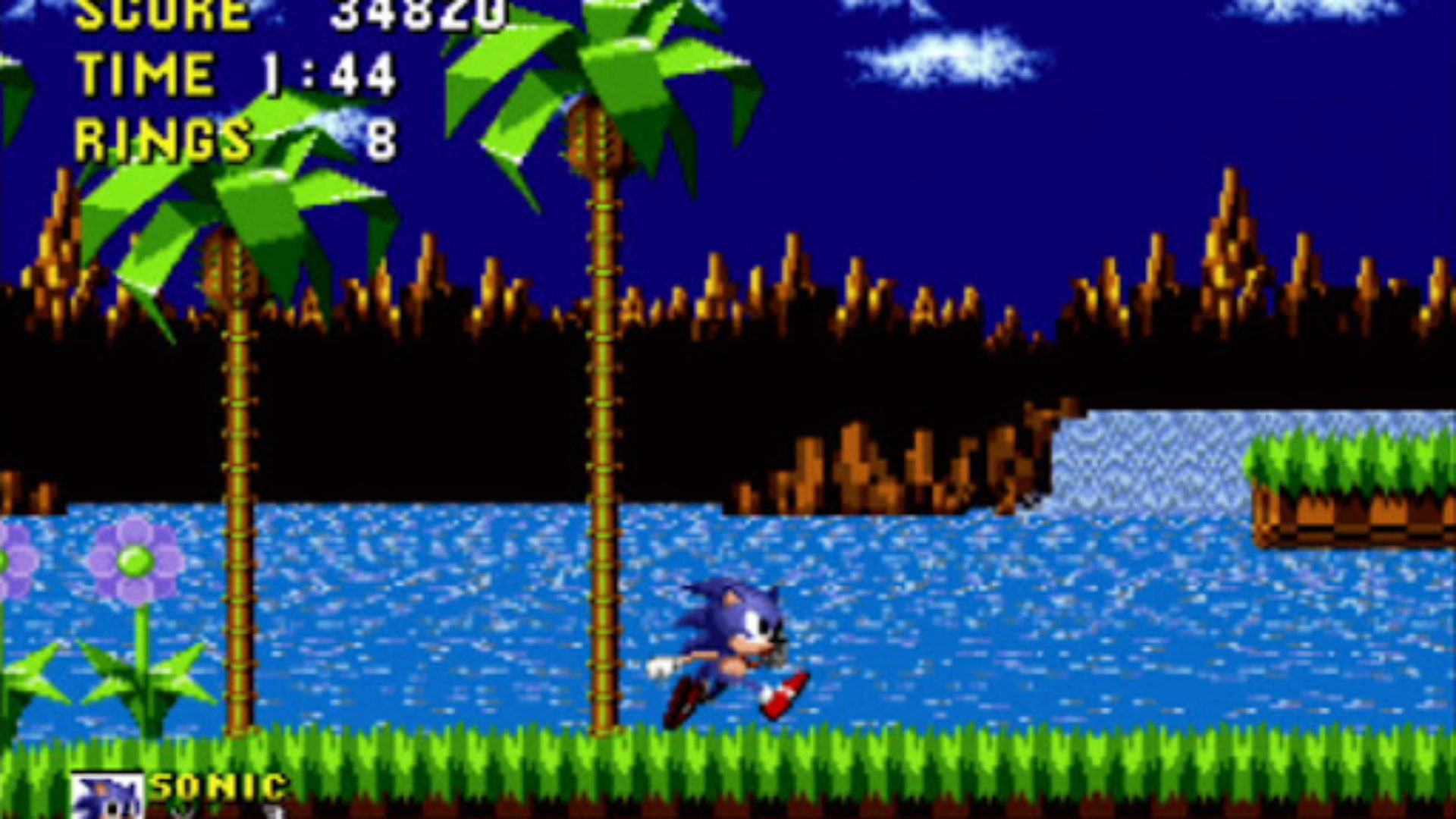 Sonic the hedgehog