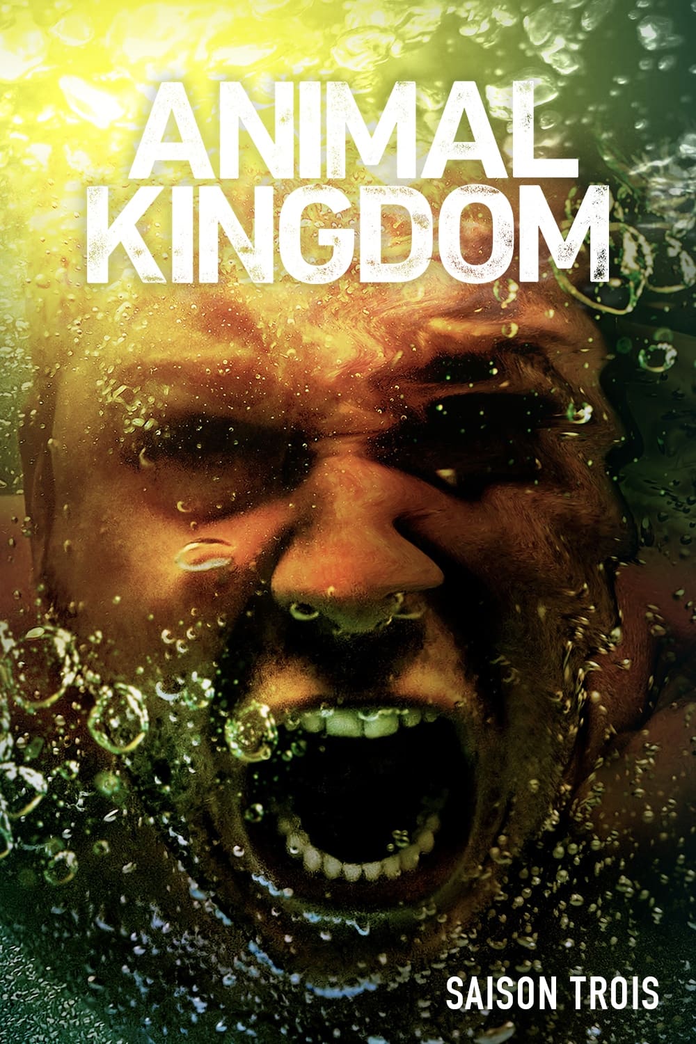 Animal Kingdom Saison 3 (2018) — CinéSéries