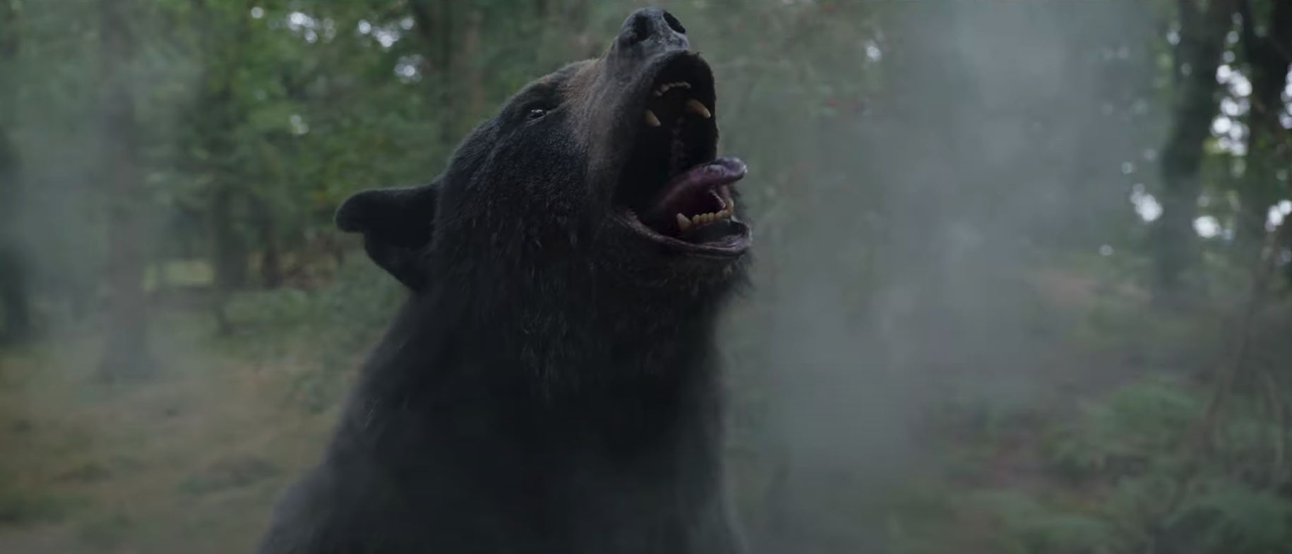 Crazy Bear