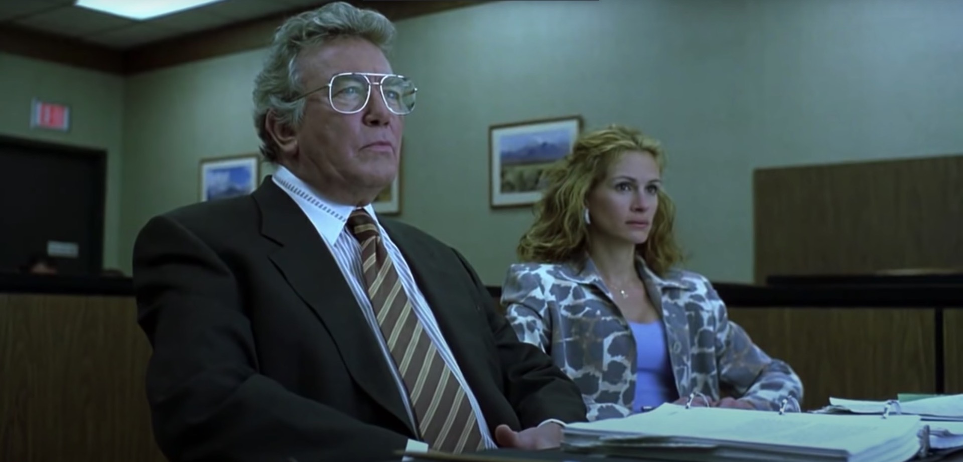 Erin Brockovich, seule contre tous
