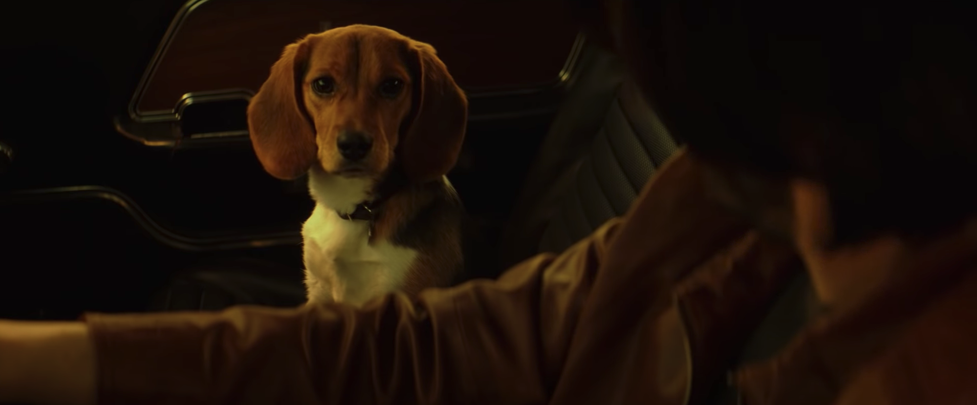 John Wick