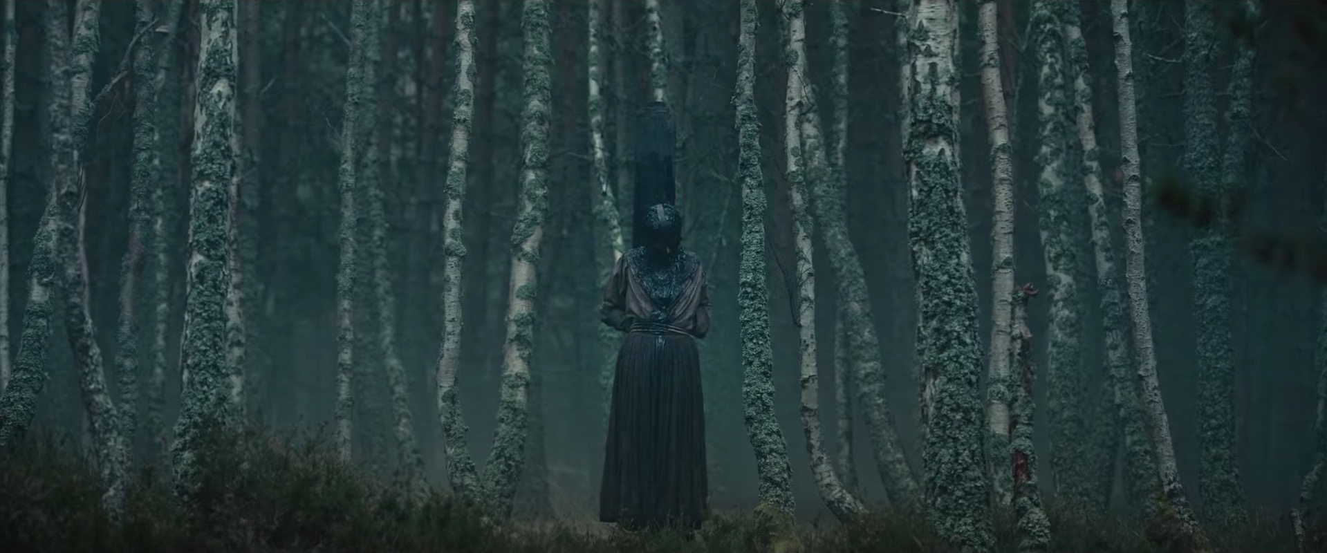 She Will