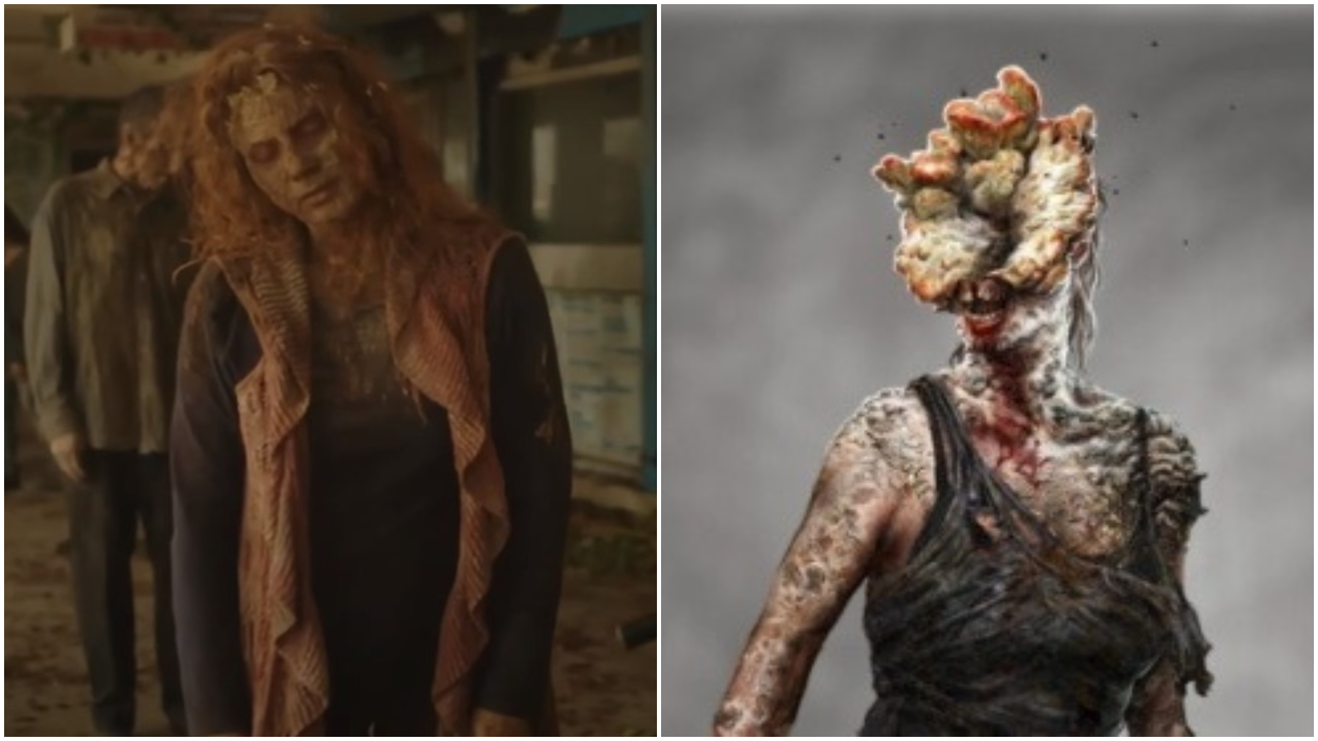 The Last Girl / The Last of Us