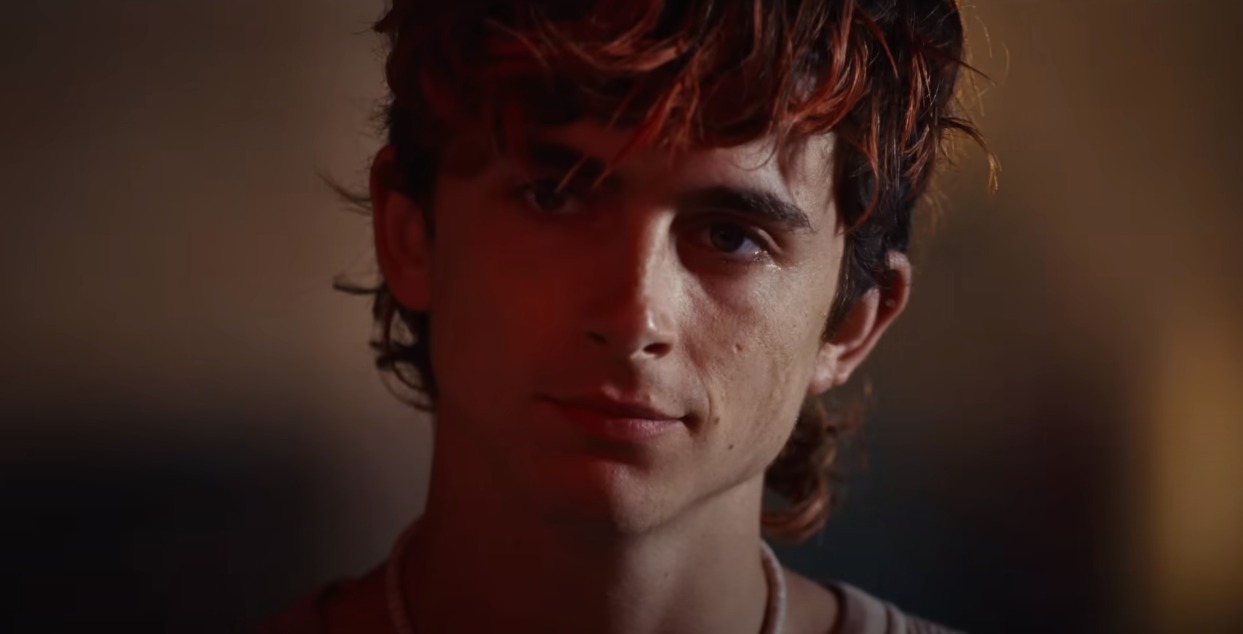 Timothee Chalamet - Bones and All