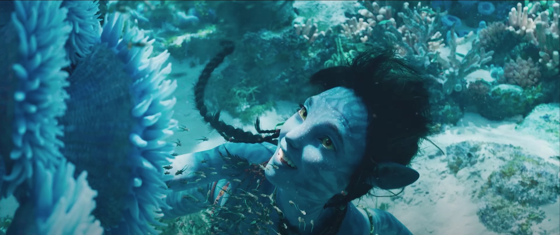 Avatar : La Voie de l'eau