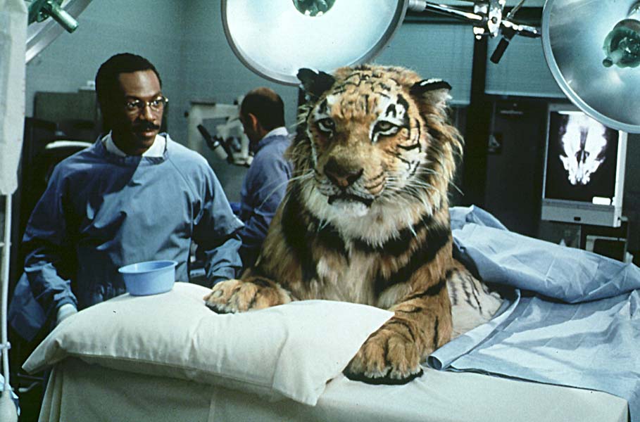 Eddie Murphy est le Dr Dolittle
