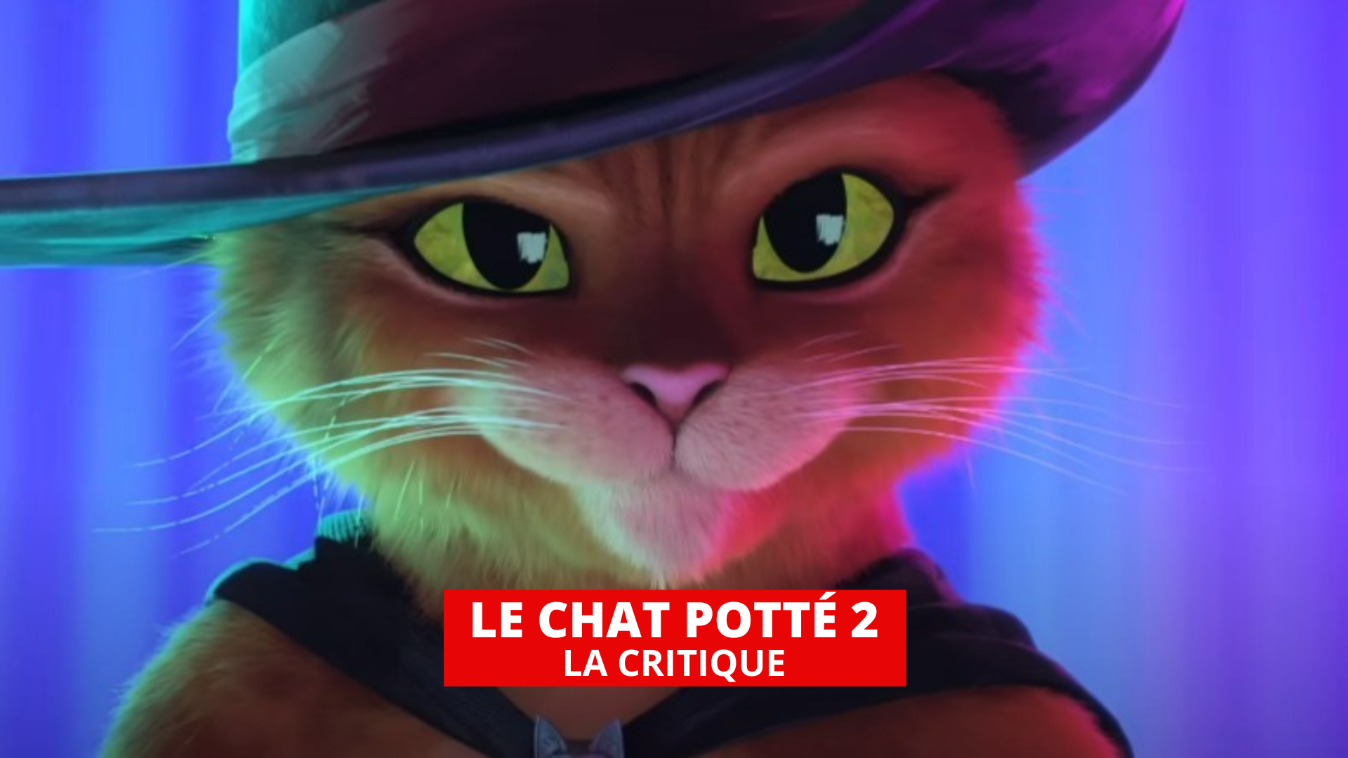 Critique de Le Chat Potté 2 : la dernière quête (Film, 2022) - CinéSérie
