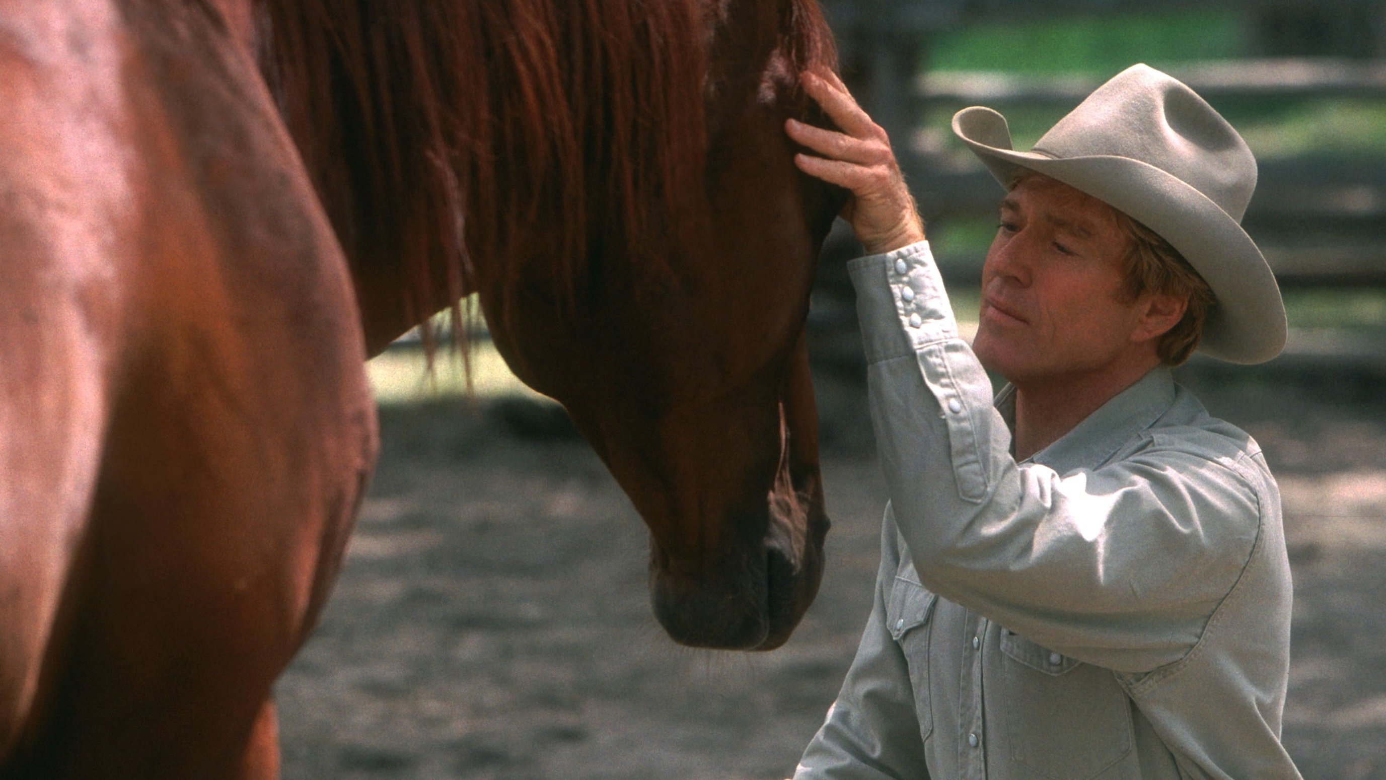 Robert Redford (Tom Booker) - L'Homme qui murmurait à l'oreille des chevaux