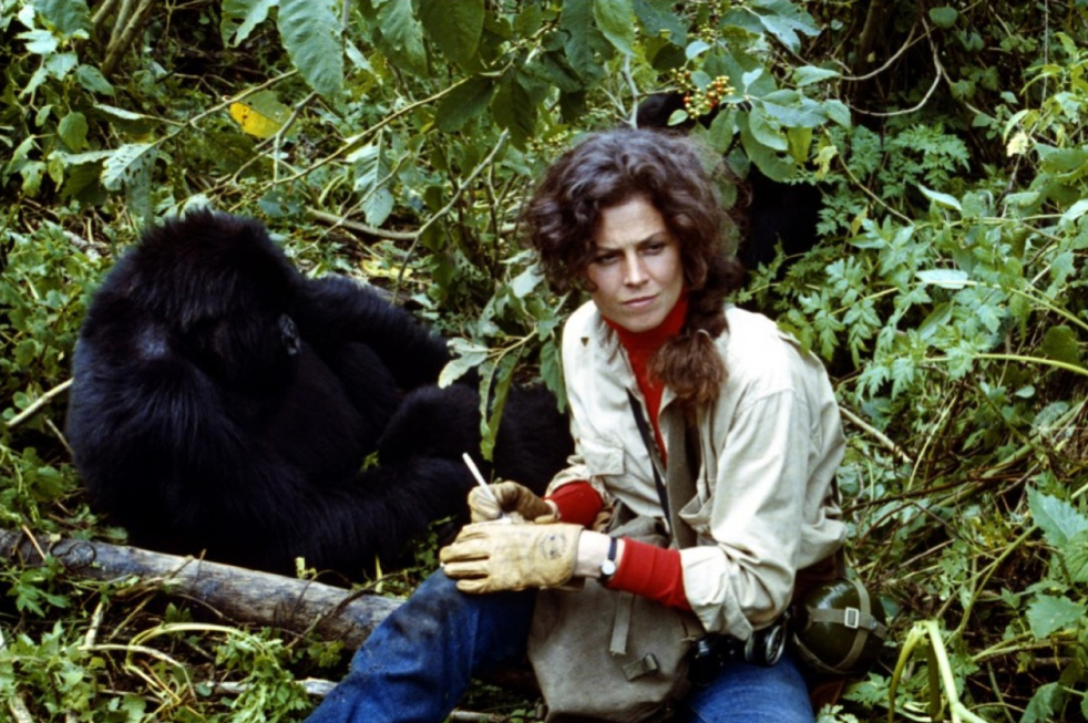 Sigourney Weaver (Dian Fossey) - Gorilles dans la brume