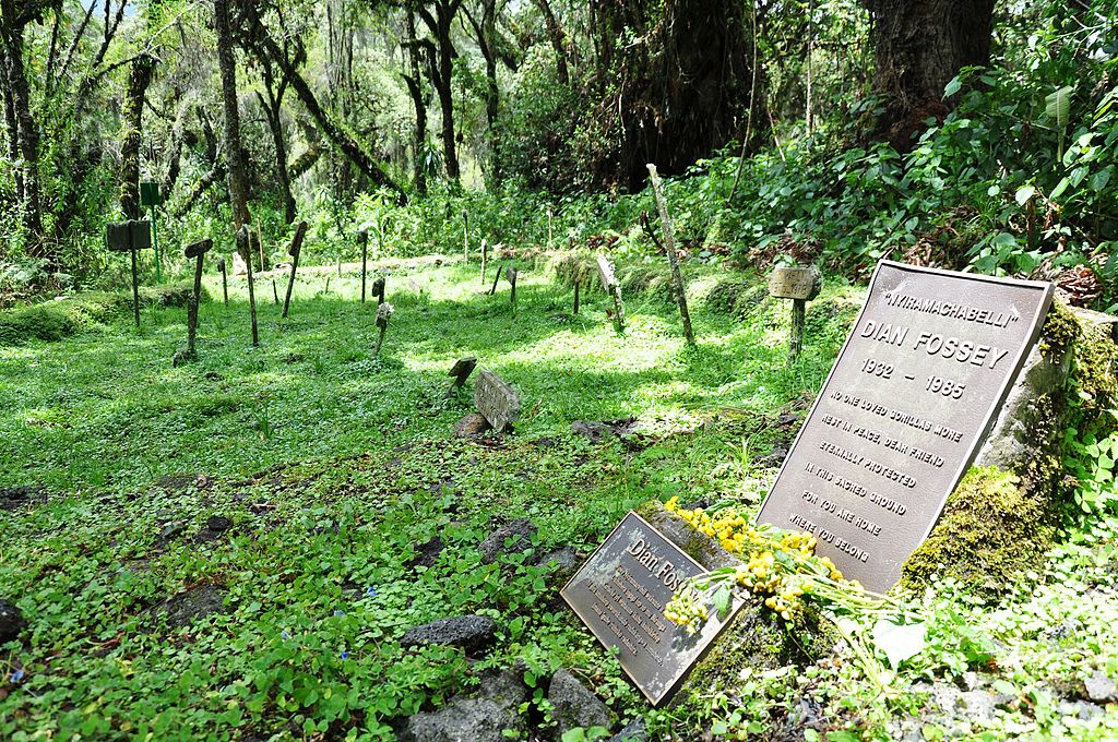 La tombe de Dian Fossey dans son sanctuaire de Karisoke