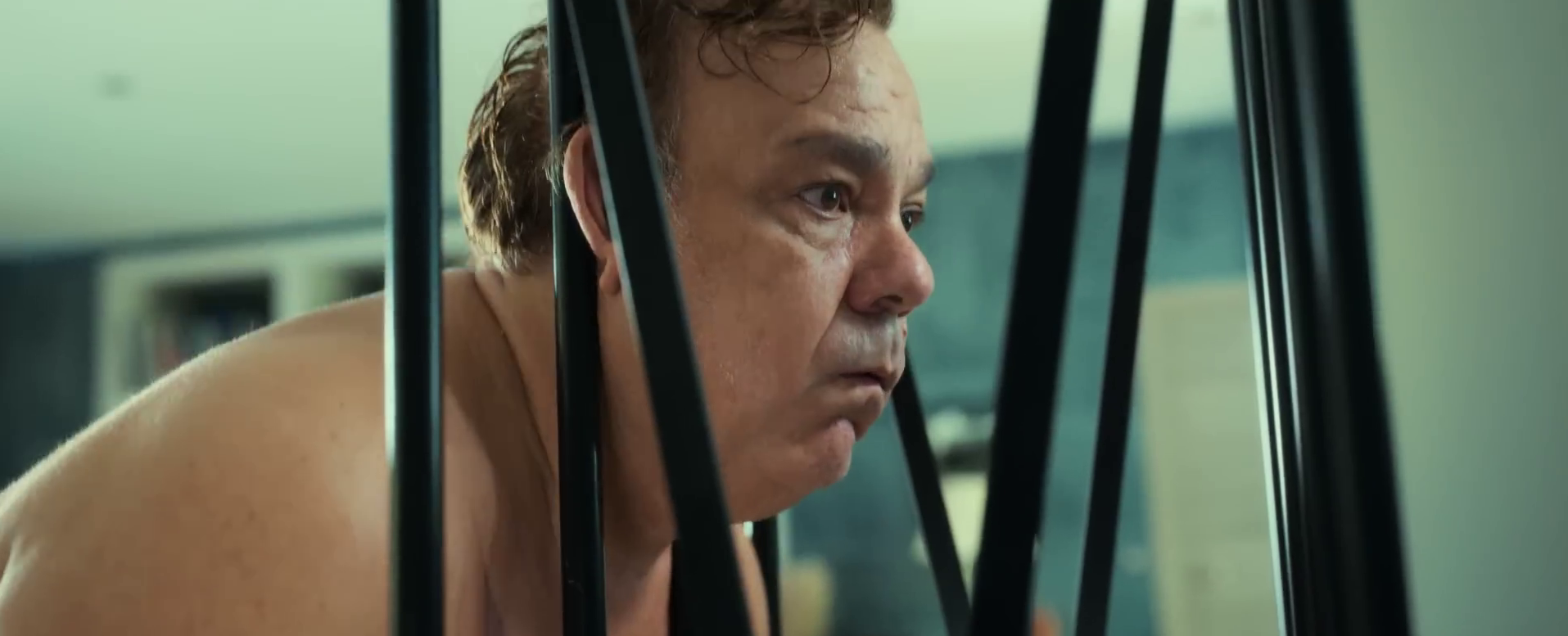 Didier Bourdon - Alibi.com 2 StudioCanal