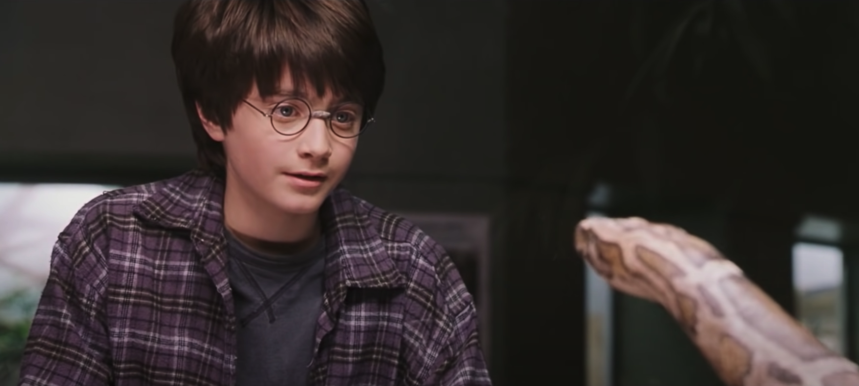Harry Potter à l'école des sorciers