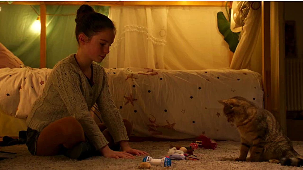 Mon chat et moi, la grande aventure de Rroû ©UGC Distribution