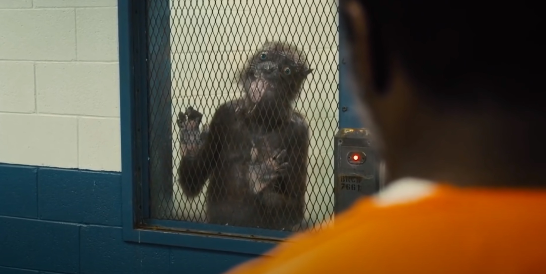 Weasel - The Suicide Squad