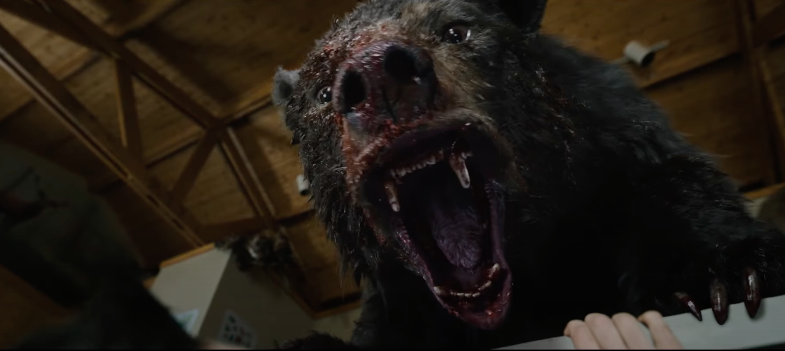 Crazy Bear