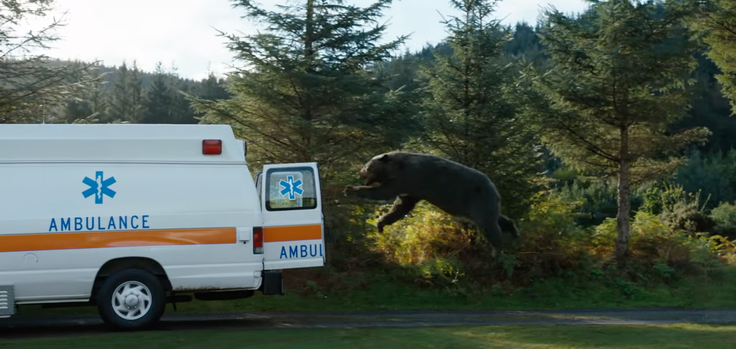 Crazy Bear