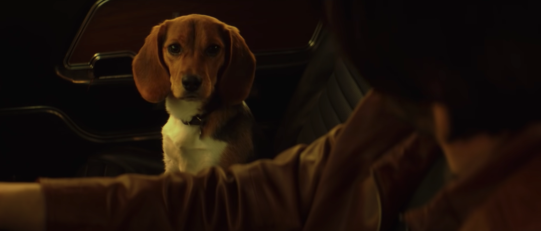 Daisy - John Wick