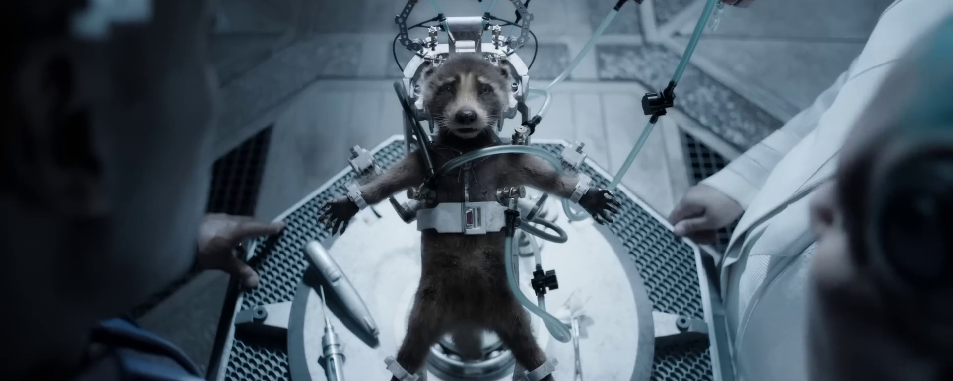 Raccoon (Bradley Cooper) - Les Gardiens de la Galaxie 3 ©Marvel