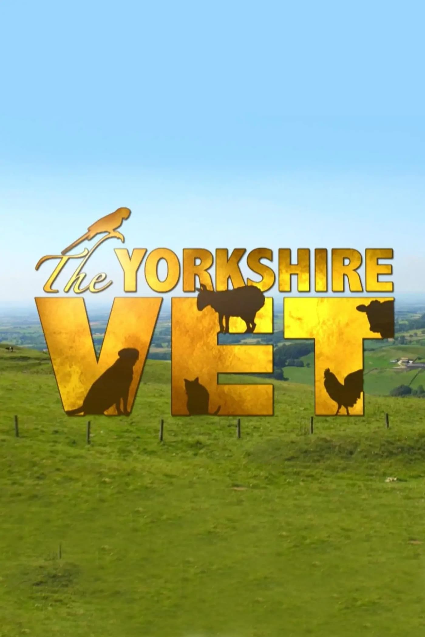 The Yorkshire Vet 2015 S Rie 15 Saisons Cin S Rie   2398357 