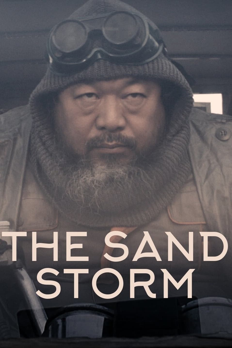 the-sand-storm-film-2014-cin-s-rie