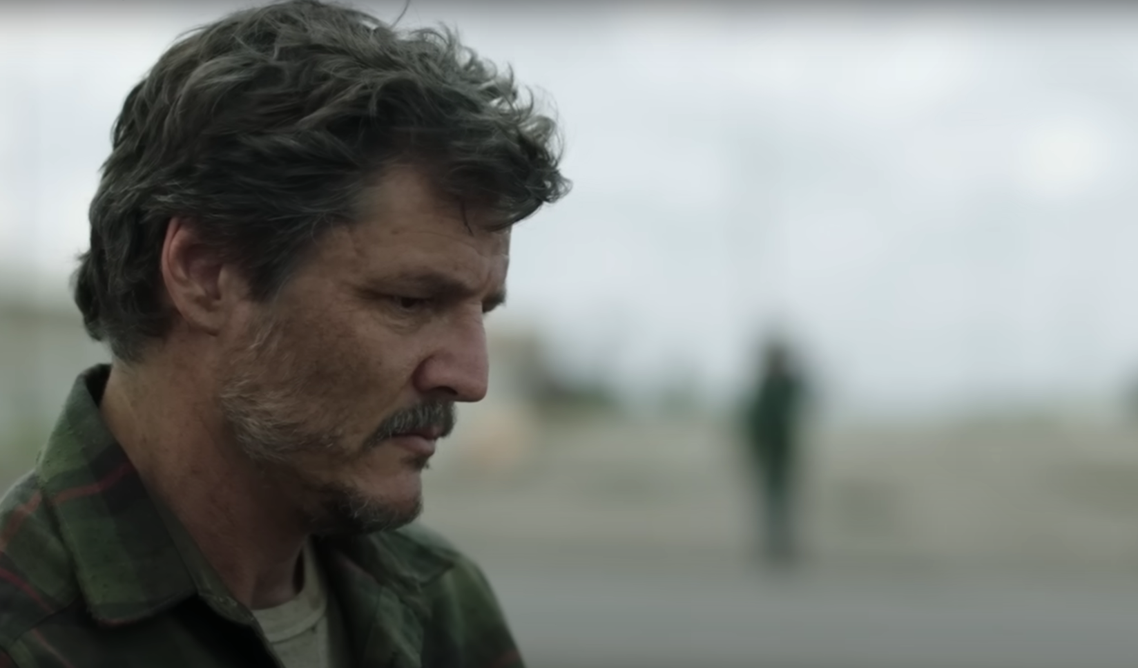 Joel (Pedro Pascal) - The Last of Us